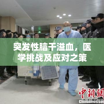 突發(fā)性腦干溢血，醫(yī)學(xué)挑戰(zhàn)及應(yīng)對(duì)之策