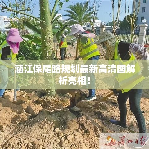 涵江保尾路規(guī)劃最新高清圖解析亮相！