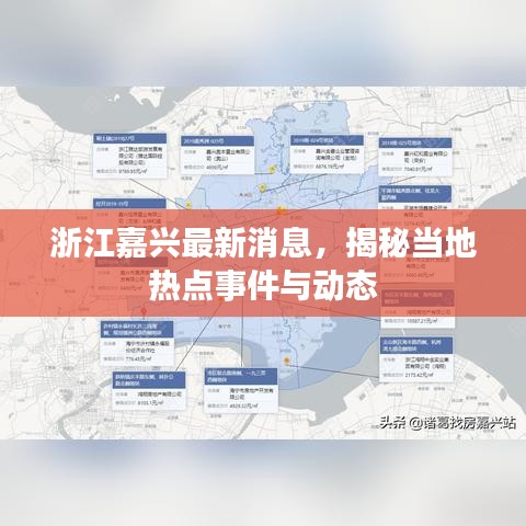 浙江嘉興最新消息，揭秘當?shù)責狳c事件與動態(tài)
