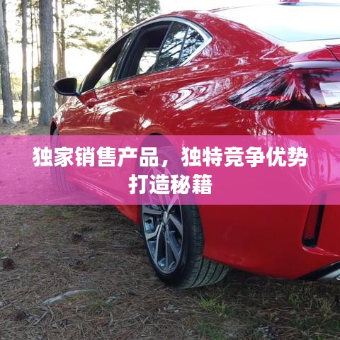 獨家銷售產(chǎn)品，獨特競爭優(yōu)勢打造秘籍