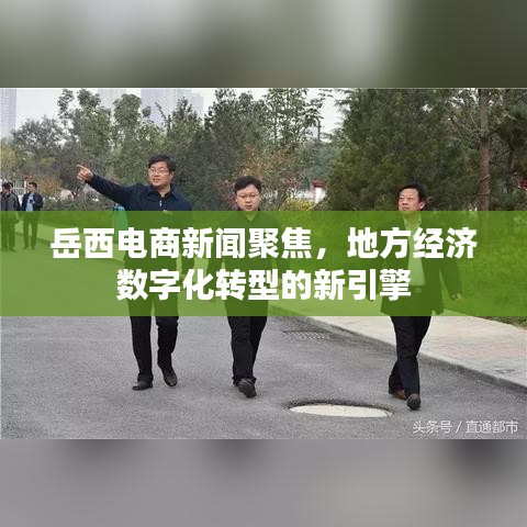 岳西電商新聞聚焦，地方經(jīng)濟(jì)數(shù)字化轉(zhuǎn)型的新引擎