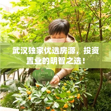 武漢獨家優(yōu)選房源，投資置業(yè)的明智之選！