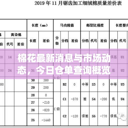 棉花最新消息與市場動態(tài)，今日倉單查詢概覽
