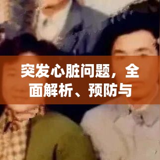 突發(fā)心臟問題，全面解析、預(yù)防與應(yīng)急處理方案