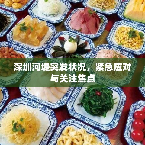 深圳河堤突發(fā)狀況，緊急應對與關注焦點