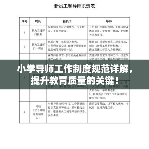 小學(xué)導(dǎo)師工作制度規(guī)范詳解，提升教育質(zhì)量的關(guān)鍵！