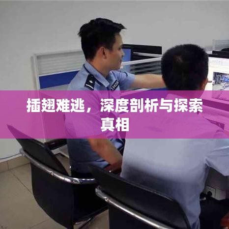 插翅難逃，深度剖析與探索真相