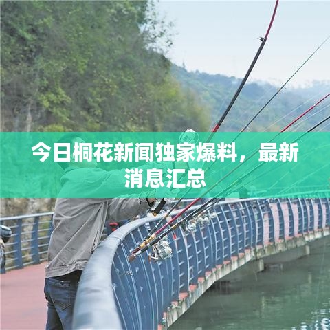 今日桐花新聞獨(dú)家爆料，最新消息匯總