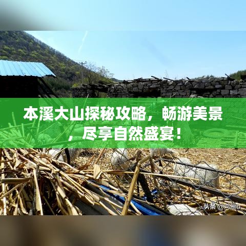 本溪大山探秘攻略，暢游美景，盡享自然盛宴！