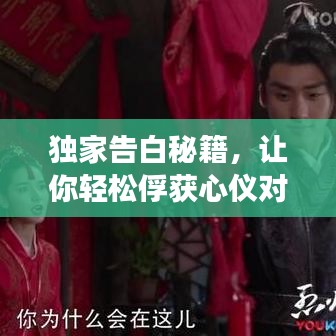 獨(dú)家告白秘籍，讓你輕松俘獲心儀對象的心！