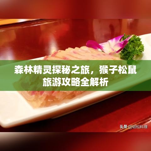 森林精靈探秘之旅，猴子松鼠旅游攻略全解析
