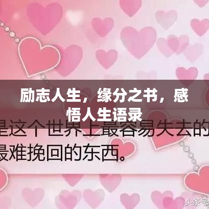 勵志人生，緣分之書，感悟人生語錄