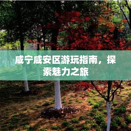 咸寧咸安區(qū)游玩指南，探索魅力之旅