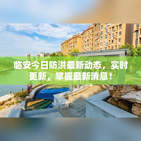 臨安今日防洪最新動態(tài)，實時更新，掌握最新消息！