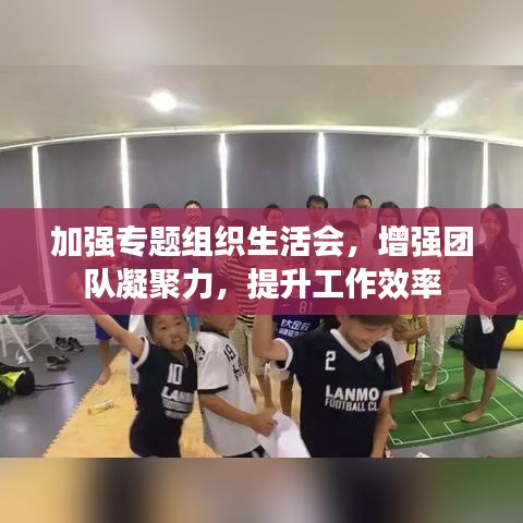 加強專題組織生活會，增強團隊凝聚力，提升工作效率
