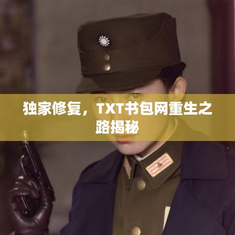 獨(dú)家修復(fù)，TXT書(shū)包網(wǎng)重生之路揭秘