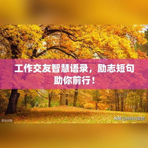 工作交友智慧語錄，勵志短句助你前行！