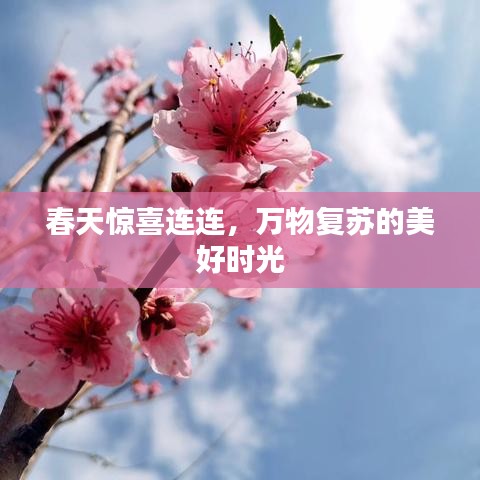春天驚喜連連，萬(wàn)物復(fù)蘇的美好時(shí)光