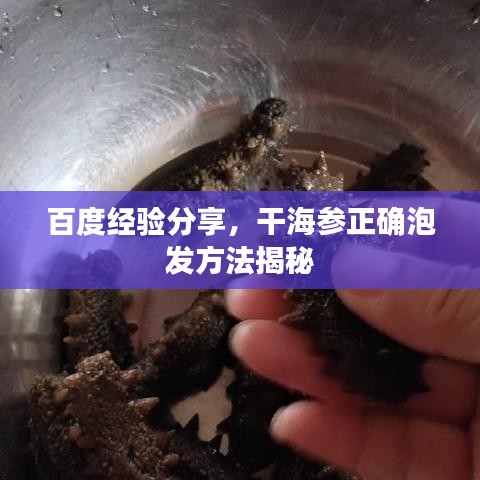 百度經(jīng)驗(yàn)分享，干海參正確泡發(fā)方法揭秘