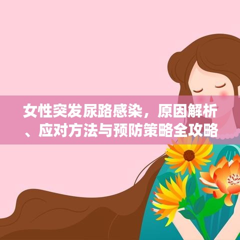 女性突發(fā)尿路感染，原因解析、應(yīng)對(duì)方法與預(yù)防策略全攻略