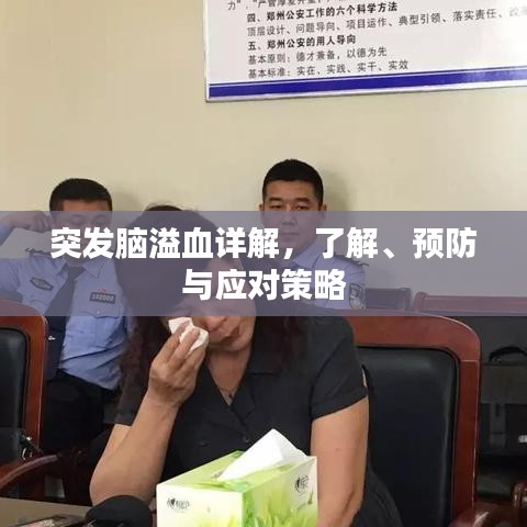 突發(fā)腦溢血詳解，了解、預(yù)防與應(yīng)對策略