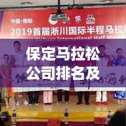 保定馬拉松公司排名及市場深度解析，洞悉行業(yè)趨勢與競爭格局