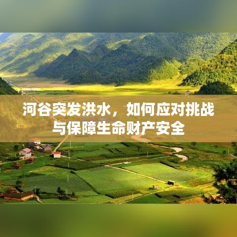 河谷突發(fā)洪水，如何應(yīng)對挑戰(zhàn)與保障生命財產(chǎn)安全
