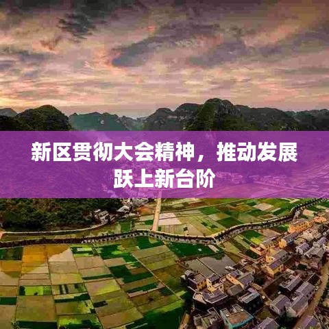 新區(qū)貫徹大會精神，推動發(fā)展躍上新臺階