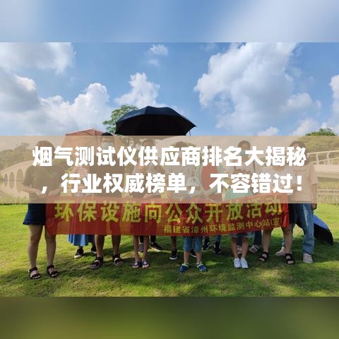 煙氣測試儀供應(yīng)商排名大揭秘，行業(yè)權(quán)威榜單，不容錯過！
