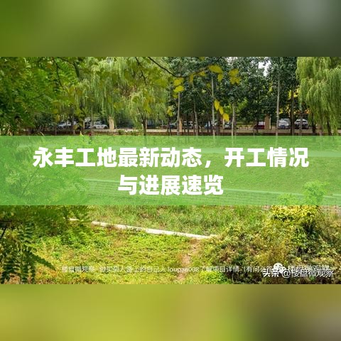 永豐工地最新動(dòng)態(tài)，開工情況與進(jìn)展速覽