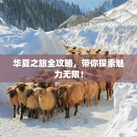 華夏之旅全攻略，帶你探索魅力無限！