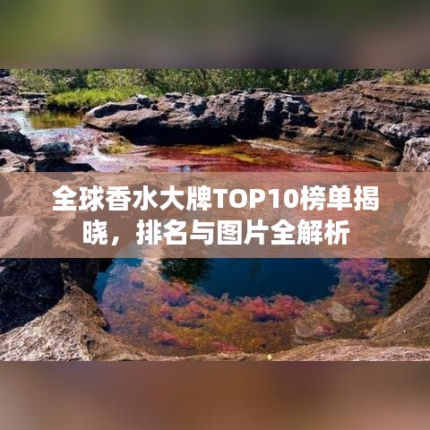 全球香水大牌TOP10榜單揭曉，排名與圖片全解析