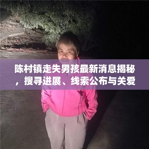 陳村鎮(zhèn)走失男孩最新消息揭秘，搜尋進展、線索公布與關愛行動啟動