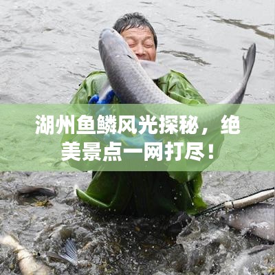 湖州魚鱗風光探秘，絕美景點一網(wǎng)打盡！