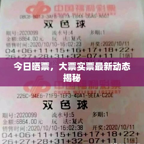 今日曬票，大票實(shí)票最新動態(tài)揭秘