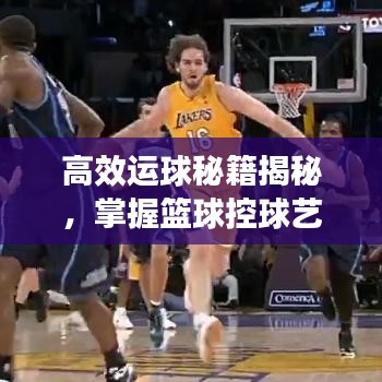 高效運(yùn)球秘籍揭秘，掌握籃球控球藝術(shù)的關(guān)鍵要領(lǐng)