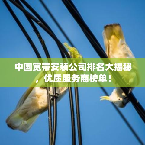 中國寬帶安裝公司排名大揭秘，優(yōu)質(zhì)服務(wù)商榜單！