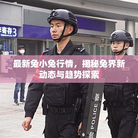 最新兔小兔行情，揭秘兔界新動態(tài)與趨勢探索