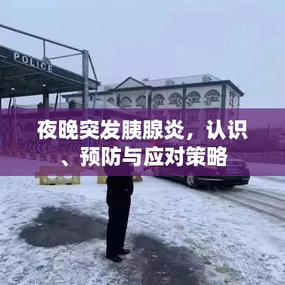 夜晚突發(fā)胰腺炎，認(rèn)識、預(yù)防與應(yīng)對策略