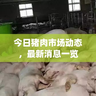 今日豬肉市場(chǎng)動(dòng)態(tài)，最新消息一覽
