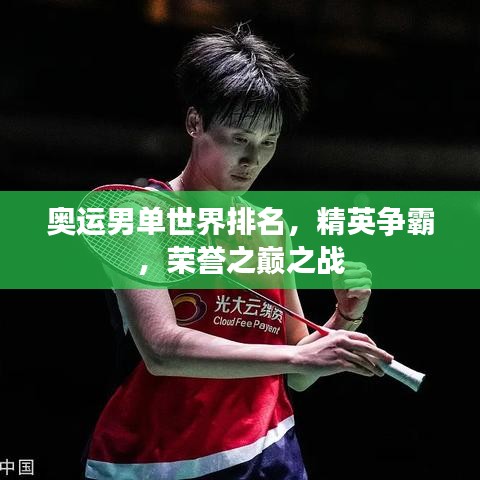 奧運(yùn)男單世界排名，精英爭(zhēng)霸，榮譽(yù)之巔之戰(zhàn)