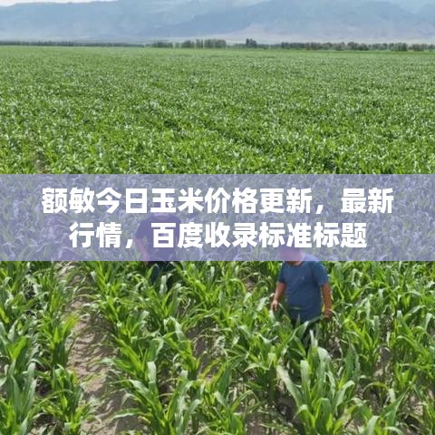 額敏今日玉米價(jià)格更新，最新行情，百度收錄標(biāo)準(zhǔn)標(biāo)題