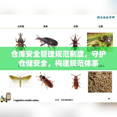 倉庫安全管理規(guī)范制度，守護倉儲安全，構(gòu)建規(guī)范體系