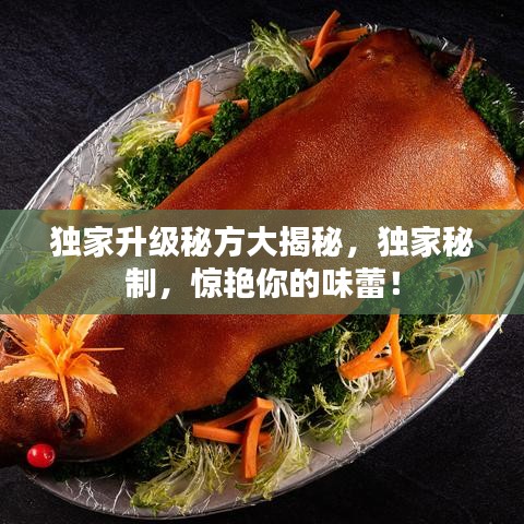 獨(dú)家升級(jí)秘方大揭秘，獨(dú)家秘制，驚艷你的味蕾！