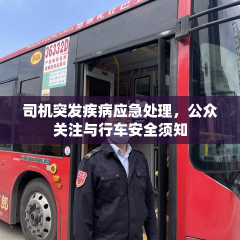司機(jī)突發(fā)疾病應(yīng)急處理，公眾關(guān)注與行車安全須知