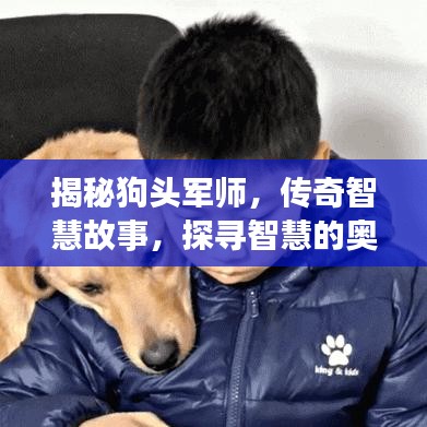 揭秘狗頭軍師，傳奇智慧故事，探尋智慧的奧秘