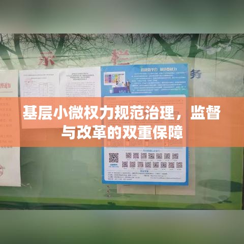基層小微權(quán)力規(guī)范治理，監(jiān)督與改革的雙重保障
