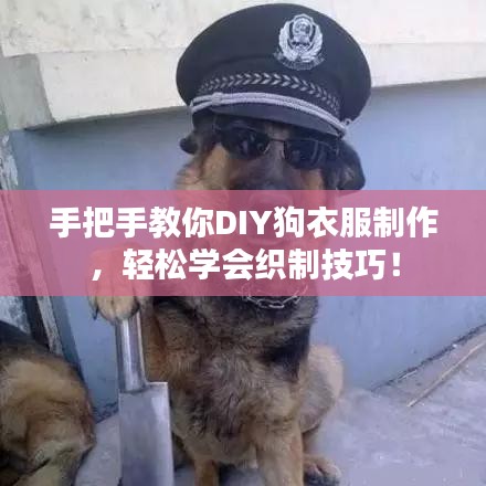 手把手教你DIY狗衣服制作，輕松學會織制技巧！