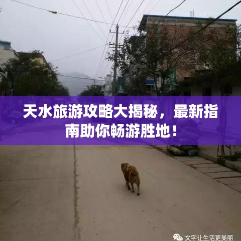 天水旅游攻略大揭秘，最新指南助你暢游勝地！