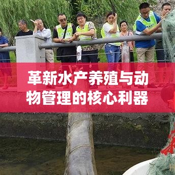風(fēng)馳電掣 第2頁(yè)